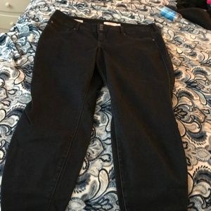 Torrid dark blue jeggings  short